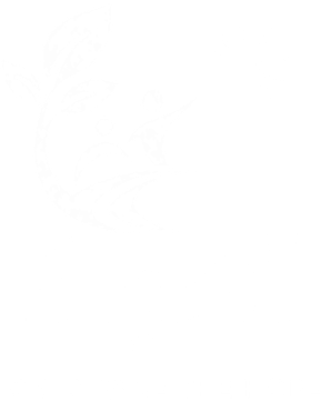 Omid